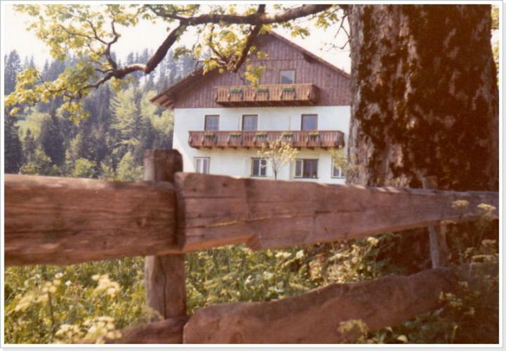 Ferienwohnung Haus Einhirn Altaussee Eksteriør bilde